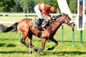 ULYSSE COLLONGES