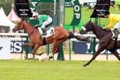 Sediciosa Prix De Royaumont