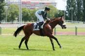 FORCE QUATRE