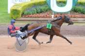 QUIROF DES PICANES