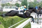 RUSE DES PLANCHES
