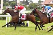 First Destinity Quinte Prix Miss Dan