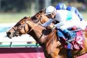 Moonlight Cloud Prix Du Moulin De Mongchamp