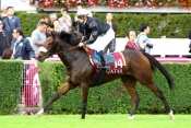 Pollyana Prix Daniel Wildenstein 2013