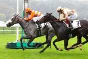 Prix De Saint-cyr 2013