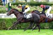 Prix Perth 2013