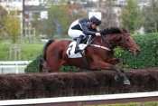 MEDARD 