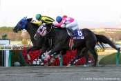 Japan Cup Dirt 2013