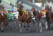 Prix De La Tremblade Quinte+