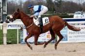 SIRIO