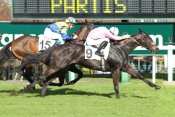 Quinte Zack Hope Prix Teddy