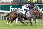 Saga Dream Prix Exbury