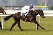 HERVE