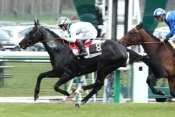 Triple Threat Prix La Force
