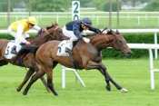 Prix Corrida