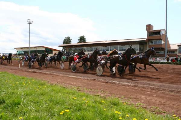 Saint Galmier Tribunes