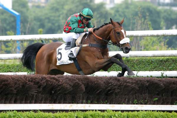 VIF D'ESPRIT