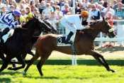 Roero Defi Du Galop Prix Dream Well