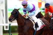 EASY DE GLANVILLE