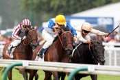 Tres Blue Grand Prix De Deauville 2013
