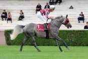 AL TAIR