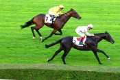 Prix Turenne 2013
