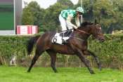 BUNCLODY