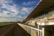 Toulouse Tribunes Piste 