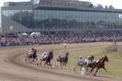 Vermo Hippodrome Tribunes