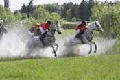 Lyon Parilly Steeple Chase Rivière