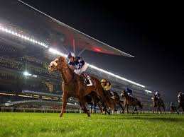Meydan