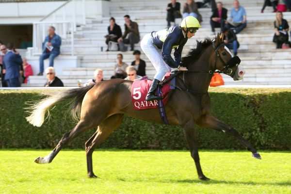 MARTLET