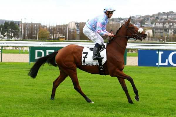 ROCKFIELD LAST