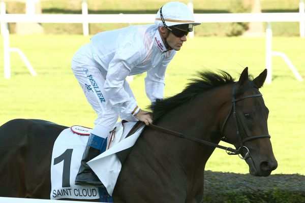 SCRUTINEER