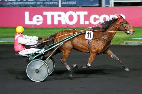 ARMADA DES ILES