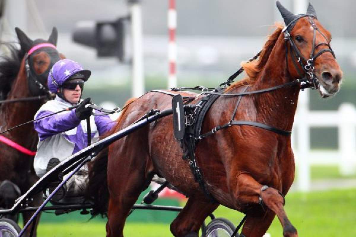 Pronostic gratuit du PRIX DES FLORAISONS - 19 mars 2026 par Canalturf