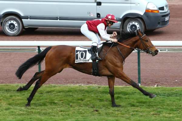 BAMBA DEL RIO