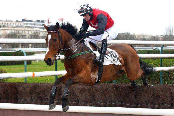 VIEILLE SORCIERE