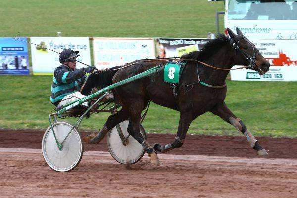 CHIVA DU CAMP