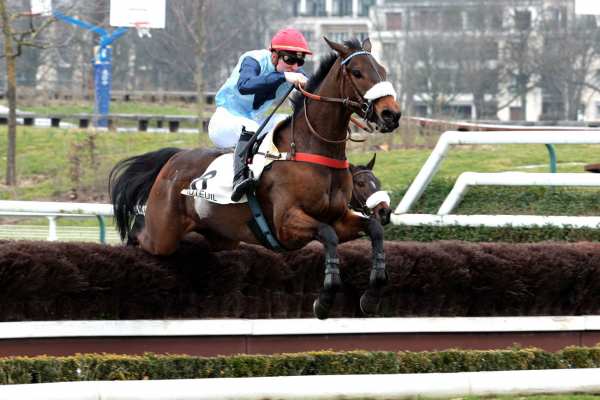 Pinson Du Rheu
