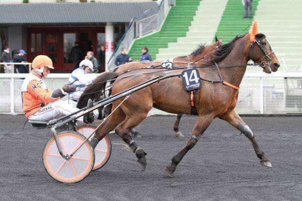 ARMANDO KIEVITSHOF