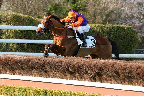 Tiesto D'authie