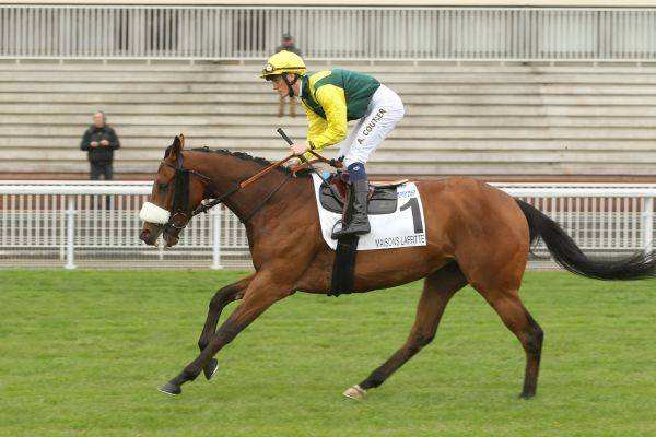 FILLY GREEN