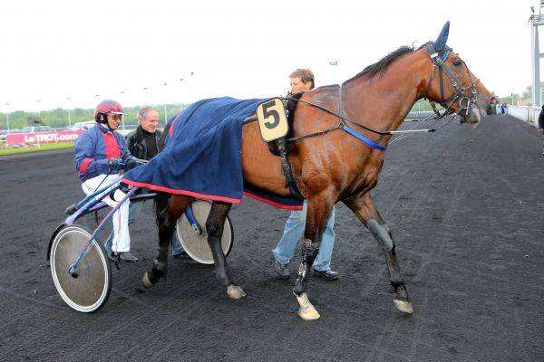 Unbridled Charm