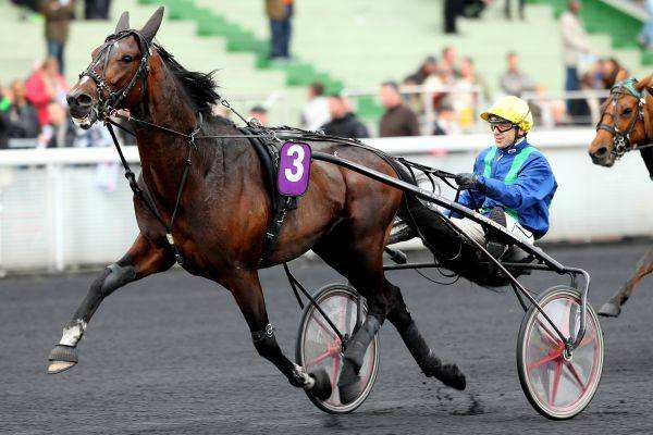 Arlington Dream