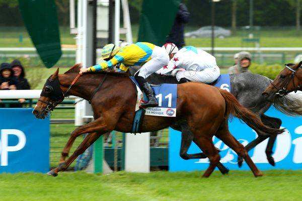 Prix Rfm 2015