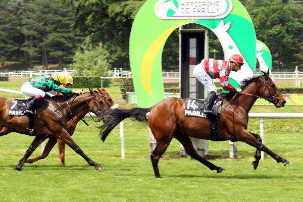 Grand Prix De Parilly 2015