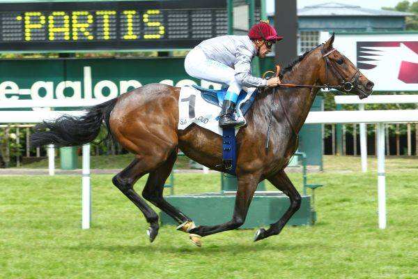 Treve
