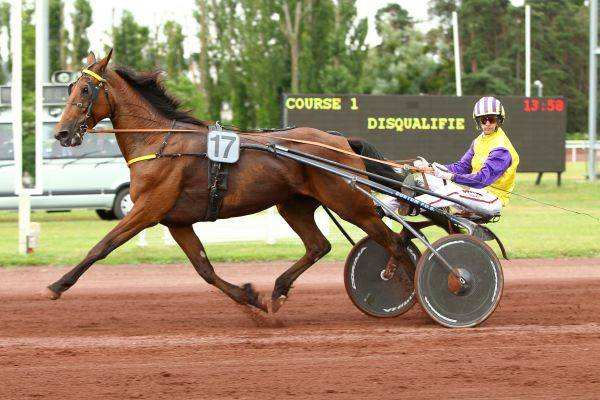 TESS DE VILLENEUVE