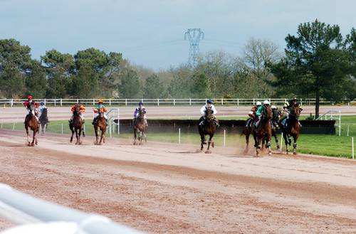 Pontchateau ligne droite trot monté